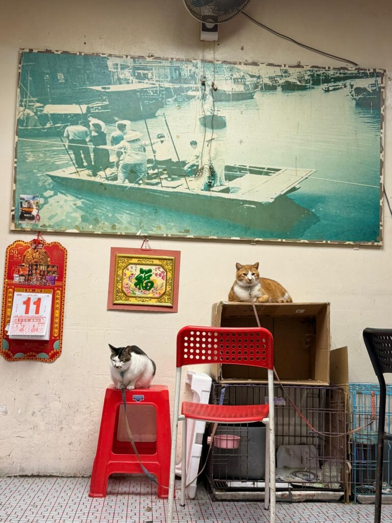 East Meets West: Finding Korean and Vietnamese Soul in Florida’s Artisan Markets